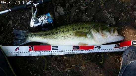 �֥�å��Х�