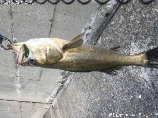 �����Х�