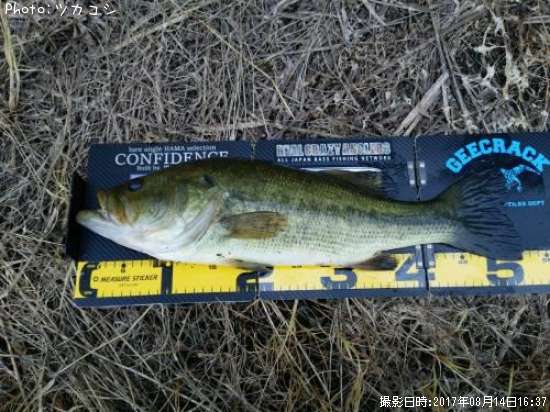 �֥�å��Х�