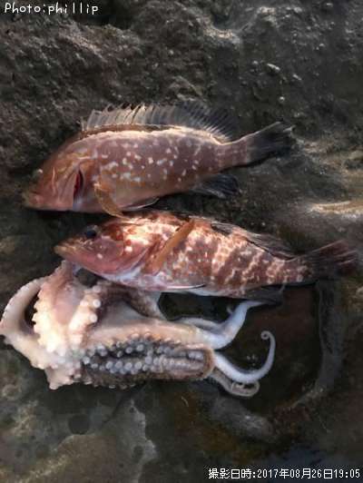 �����ϥ�