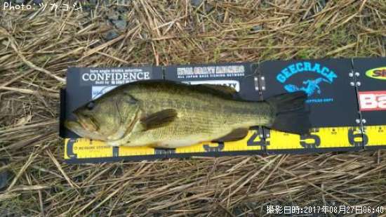 �֥�å��Х�