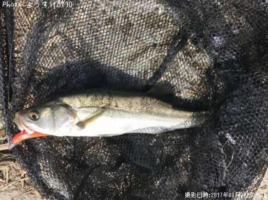 �����Х�