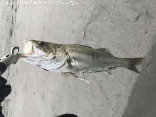 �����Х�