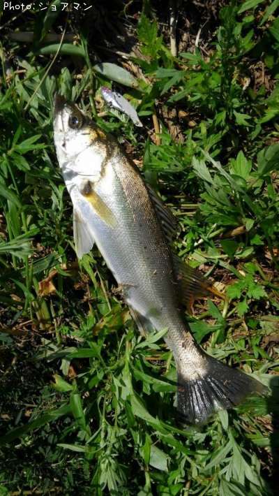 �����Х�