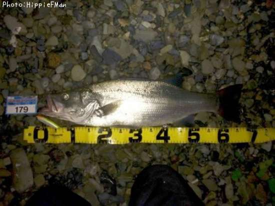 �ҥ饹����