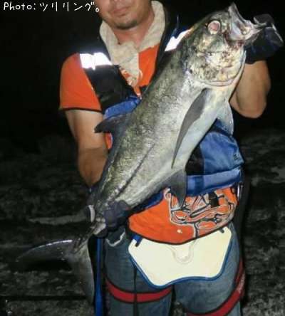 ���󥬥ᥢ��