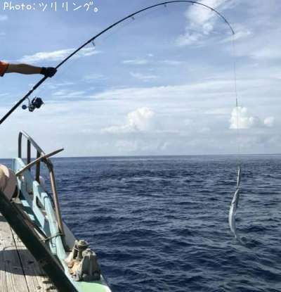 �Х饯����