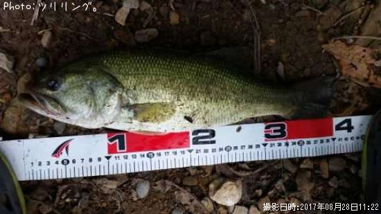 �֥�å��Х�