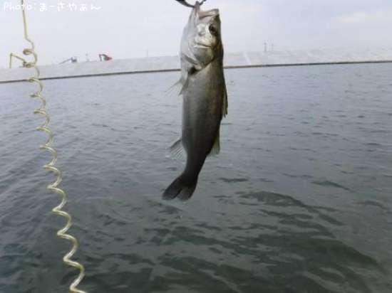 �����Х�