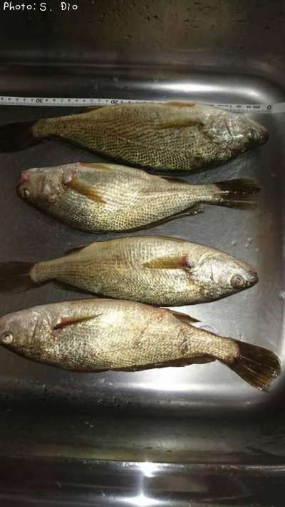 �������