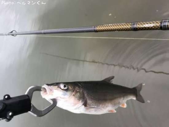 �ޥ륿������