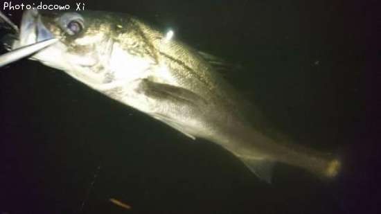 �����Х�