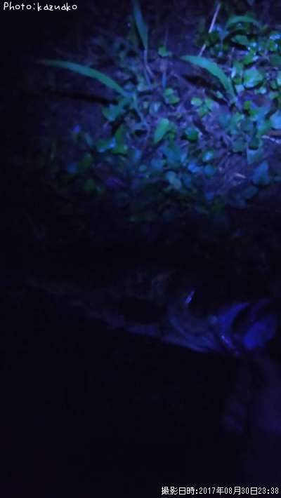 �֥�å��Х�