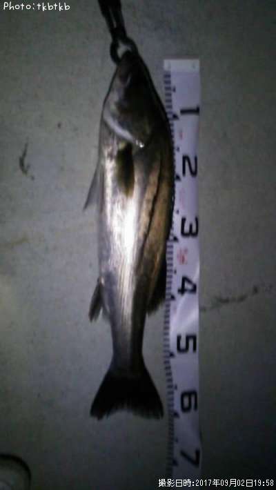 �����Х�