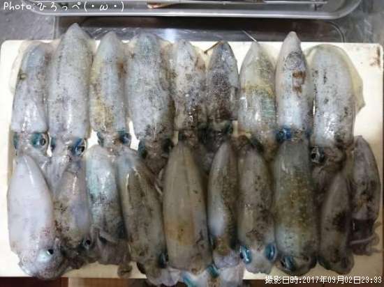 �����ꥤ��