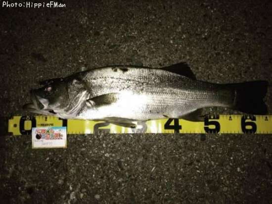 �ҥ饹����