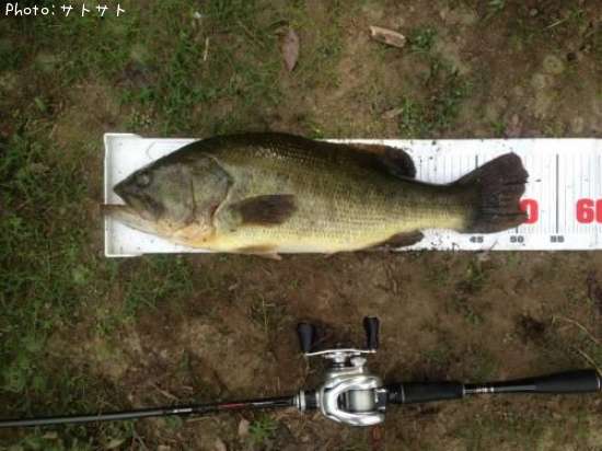 �֥�å��Х�