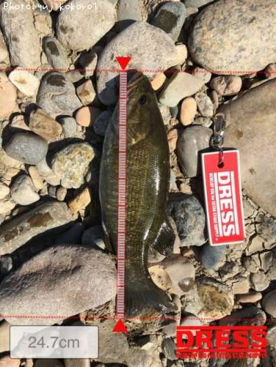 �֥�å��Х�