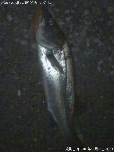 �����Х�