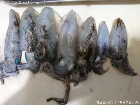 �����ꥤ��