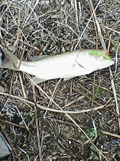 �֥�å��Х�