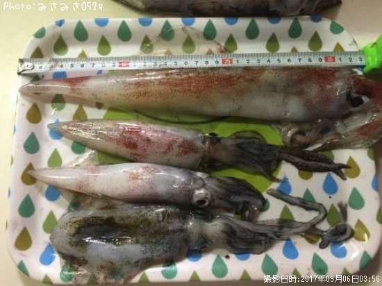 ���󥵥�����