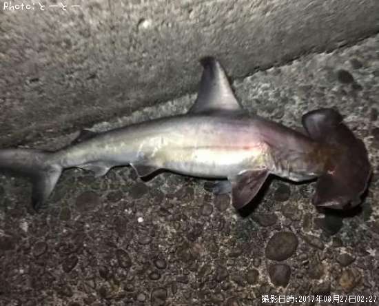 �ݽ�������