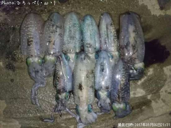 �����ꥤ��