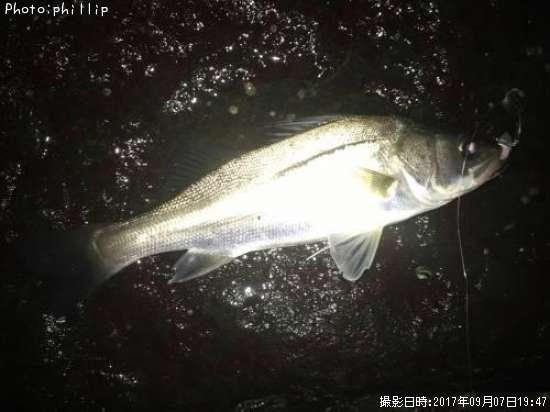 �����Х�