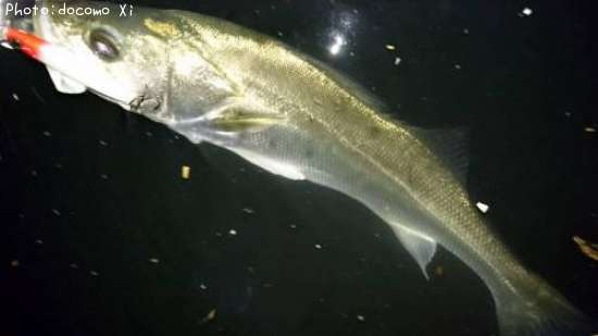 �����Х�