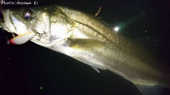 �����Х�