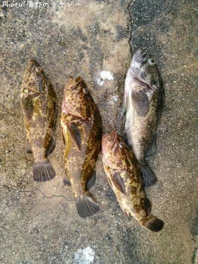 �����Υ���Х롢��������