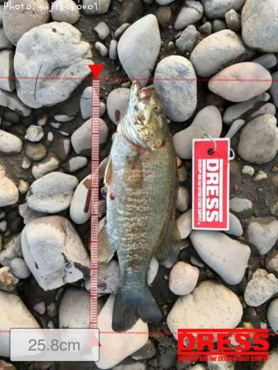 �֥�å��Х�