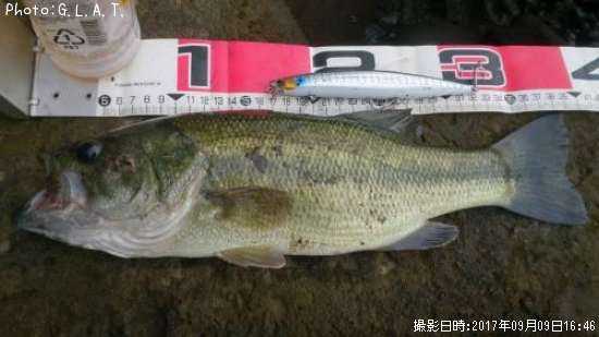 �֥�å��Х�