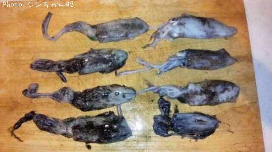 �����ꥤ��