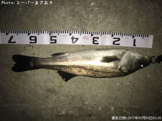 �����Х�