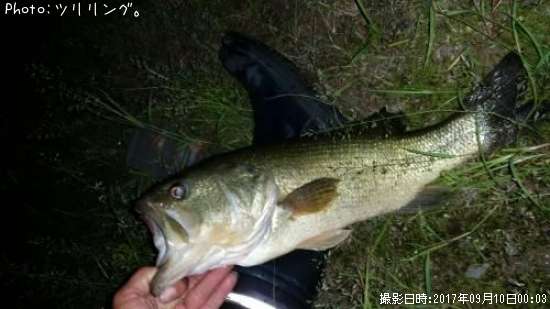 �֥�å��Х�