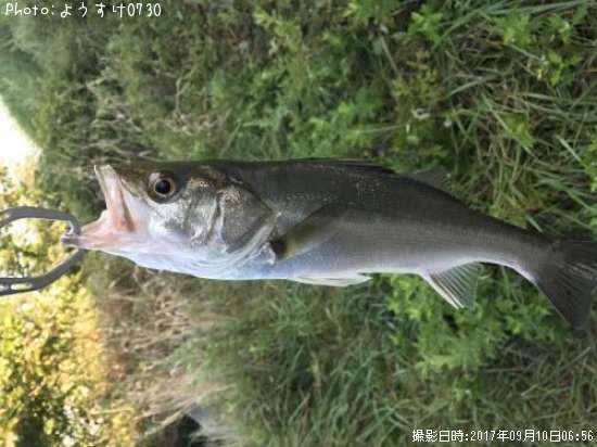 �����Х�