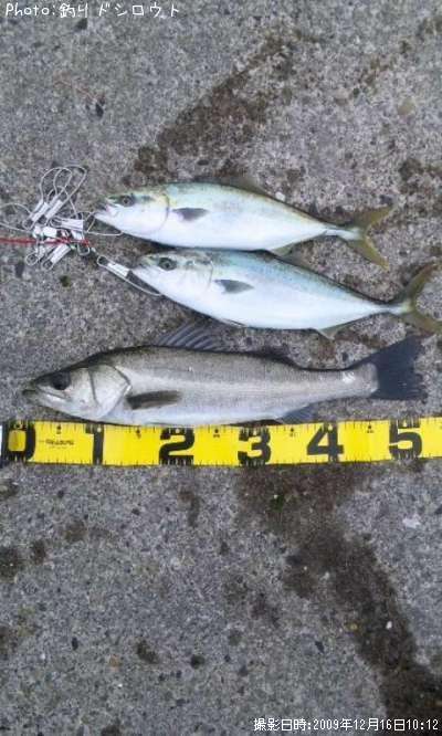 �����Х��ȥ參��