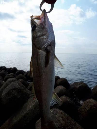 �����Х�