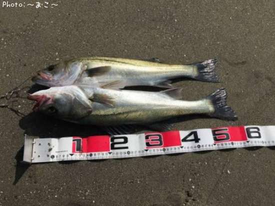 �����ե����Х�