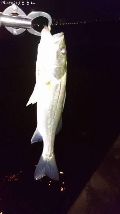 �����Х�