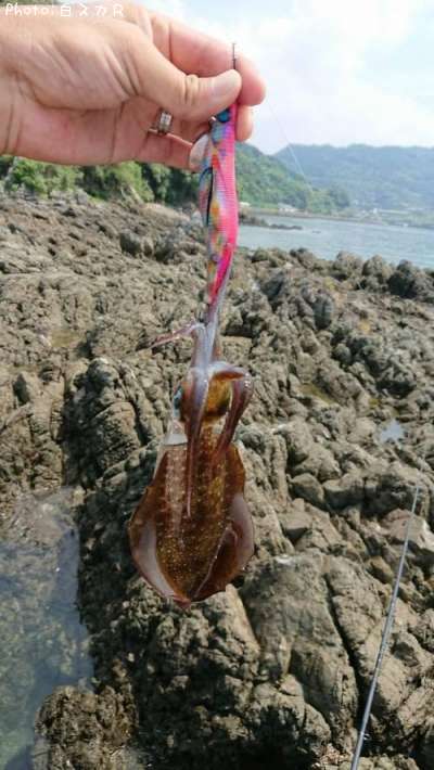 �����ꥤ��