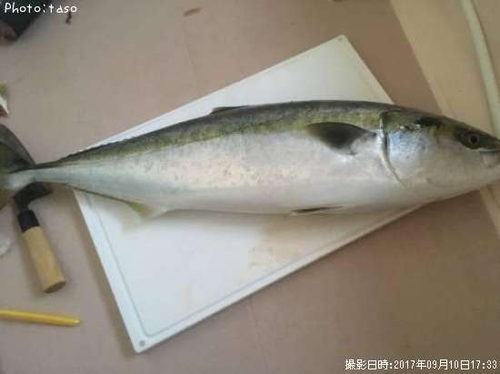 ��饵