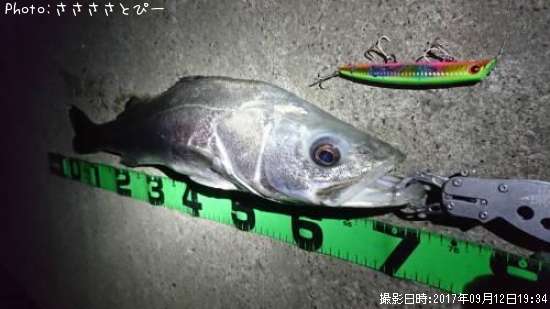 �����Х�