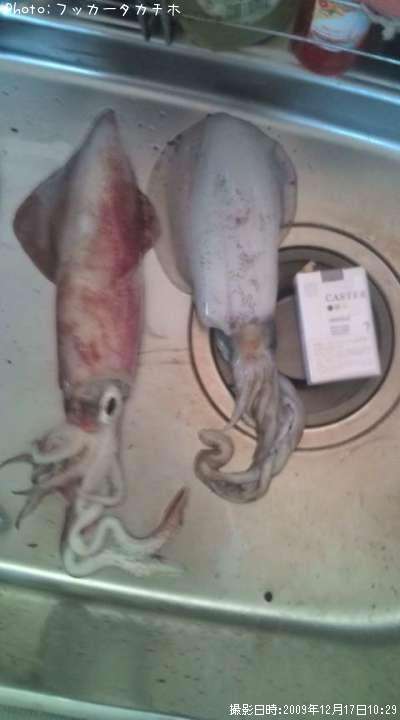 �����Х�����ꥤ��