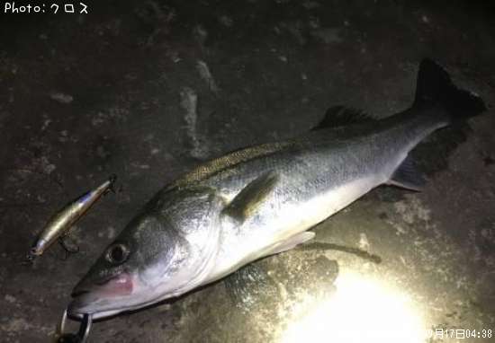 �����Х�