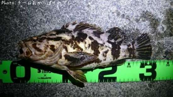 �����Υ���Х�