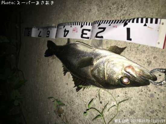 �����Х�