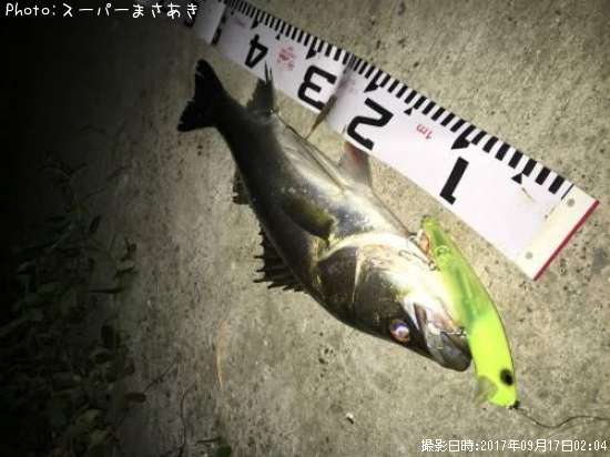 �����Х�